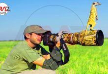 4 نکته پزشکی در شکار