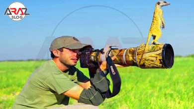 4 نکته پزشکی در شکار