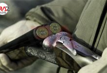 قوانین شکار در کمپ + باید ها و نبایدها