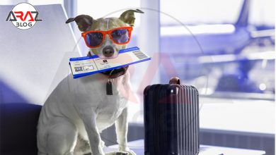 سفر با حیوان خانگی