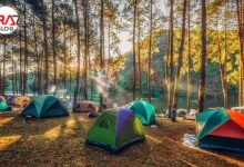 معرفی 10 پارک ملی امن برای کمپینگ