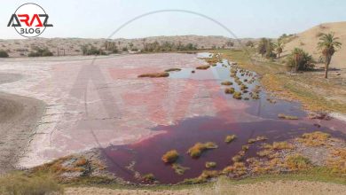 چشمه های آبگرم قلعه گنج