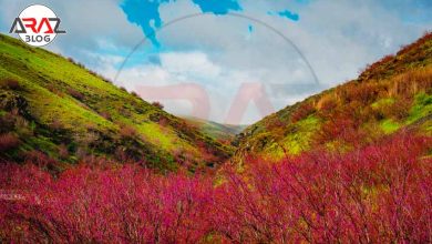 دره ارغوان مشهد در کدام منطقه است ؟