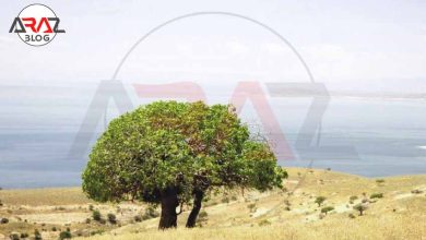 معرفی پارک ملی ارومیه