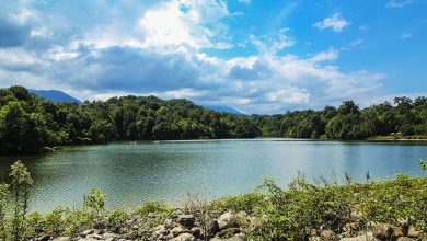 الیمالات در کدام شهر قرار دارد ؟ 4 الیمالات در کدام شهر قرار دارد ؟