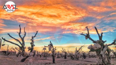 باغ سنگی از عجایب ایران 5 باغ سنگی از عجایب ایران
