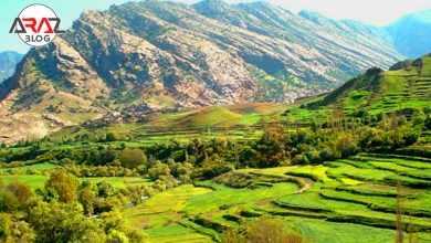 باغملک مقصدی ایده آل برای تفریح