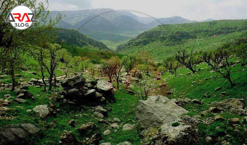 5 نکته کمپینگ در پارک ملی دنا 2 جاذبههای طبیعی پارک ملی دنا
