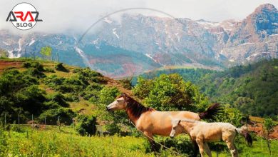 روستای برنت کجاست؟ 4 روستای برنت کجاست؟