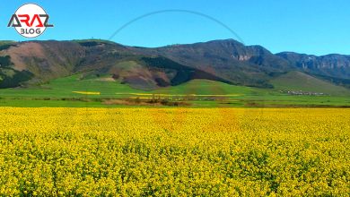 ماجراجویی در ترکمن صحرا