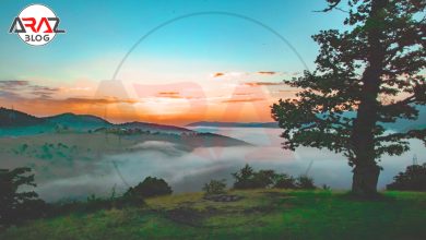 معرفی جنگل ابر شاهرود 5 معرفی جنگل ابر شاهرود