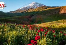 دشت لار کجاست ؟