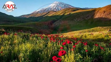 دشت لار کجاست ؟ 5 دشت لار کجاست ؟