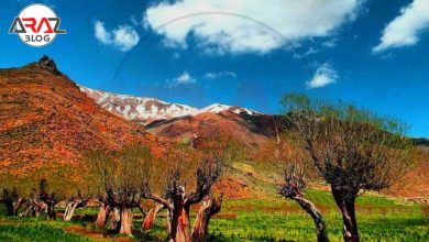 دشت هویج یا دشت گرچال کجاست ؟