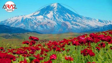 گیلاوند کجاست ؟