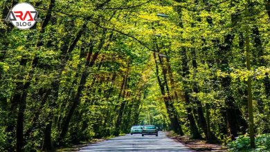 ساحل گیسوم گیلان + 3 نکته سفر