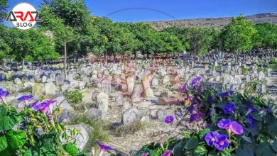 قبرستان سفیدچاه + 4 نکته بازدید از آن 2 قبرستان سفیدچاه