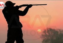 روش ها و ابزار های شکار در طول تاریخ