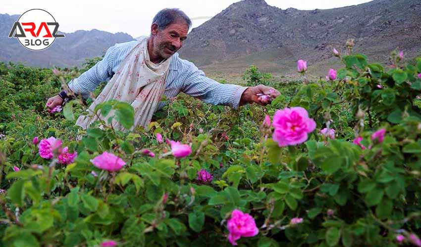 معرفی شهر کاشان + 9 جاذبه دیدنی 6 قمصر کاشان