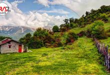 مازیچال را بهتر بشناسیم