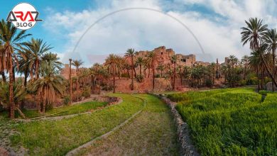 روستای نایبند در طبس را بشناسیم 2 روستای نایبند در طبس را بشناسیم