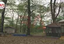 کمپ در پارک جنگلی میرصفا