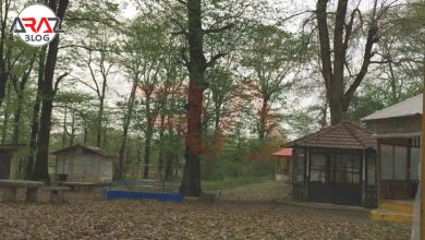 کمپ در پارک جنگلی میرصفا