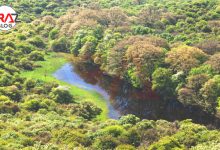 کمپینگ در پارک ملی گلستان