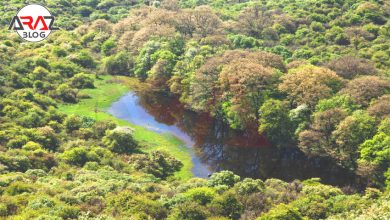 کمپینگ در پارک ملی گلستان