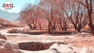 بازدید از چشمه وقت و ساعت