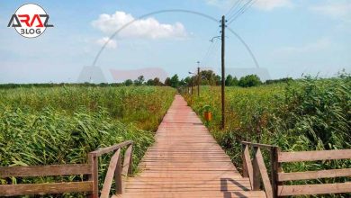 پل چوبی کیاشهر برویم ؟