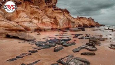 جزیره لاوان در کجا قرار دارد ؟