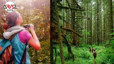 سفرهای اکوتوریسمی چیست ؟