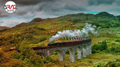 شیرگاه کجاست ؟ 3 شیرگاه کجاست ؟