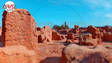 ارگ طبس کجاست ؟