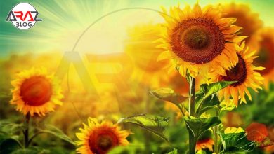 بهترین مقاصد گردشگری در تابستان