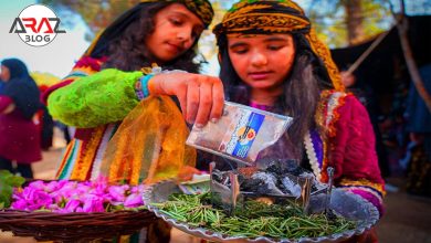 معرفی جشنواره های محلی در ایران 4 معرفی جشنواره های محلی در ایران