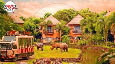 بالی کجاست ؟ 3 بالی کجاست