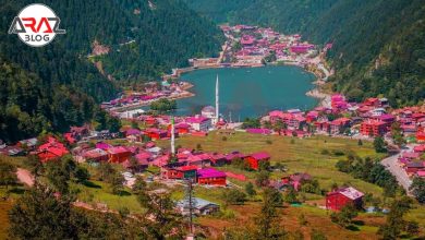 ترابزون کجاست ؟ 1 ترابزون کجاست