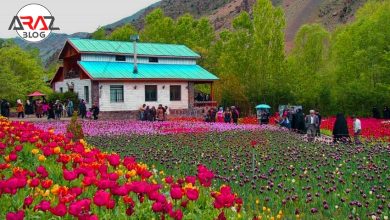 روستای باغ گل