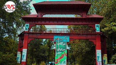 پارک جنگلی سراوان + بازدید از آن 5 پارک جنگلی سراوان