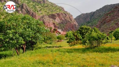شاهو کردستان