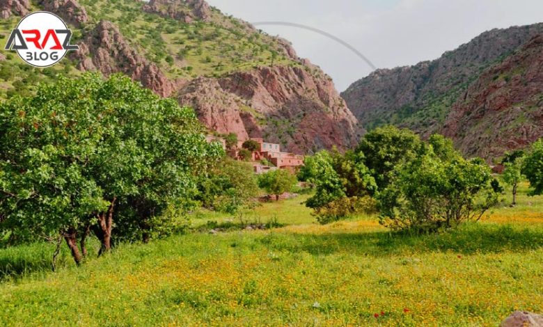 شاهو کردستان