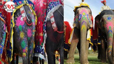 آیا سفر به هند از ایران امکان پذیر است ؟ 2 سفر به هند از ایران