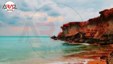 ساحل مرجان کیش