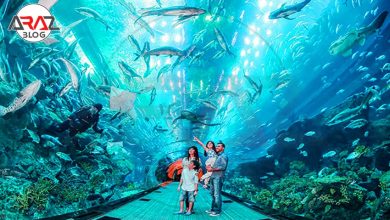 آکواریوم دبی مال 3 آکواریوم دبی مال