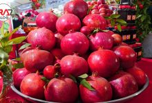 جشنواره انار ساوه