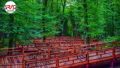 پارک جنگلی النگدره کجاست ؟ 4 پارک جنگلی النگدره