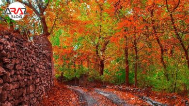 خوانسار کجاست