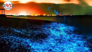 ساحل شب تاب سیستان و بلوچستان